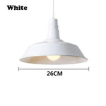 Lampe Led Suspension Abat-Jour Coloré Blanc / Froide Luminaire Chambre