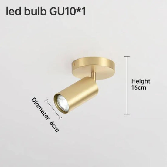 Spot Led Doré En Métal Pour Corridor A / Chaude Luminaire Chambre
