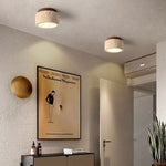 Luminaire plafonnier pour salle de bain