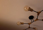 LOT DE TROIS AMPOULES EDISON G80 4W 220V EN VERRE AMBRÉ ANTIQUE