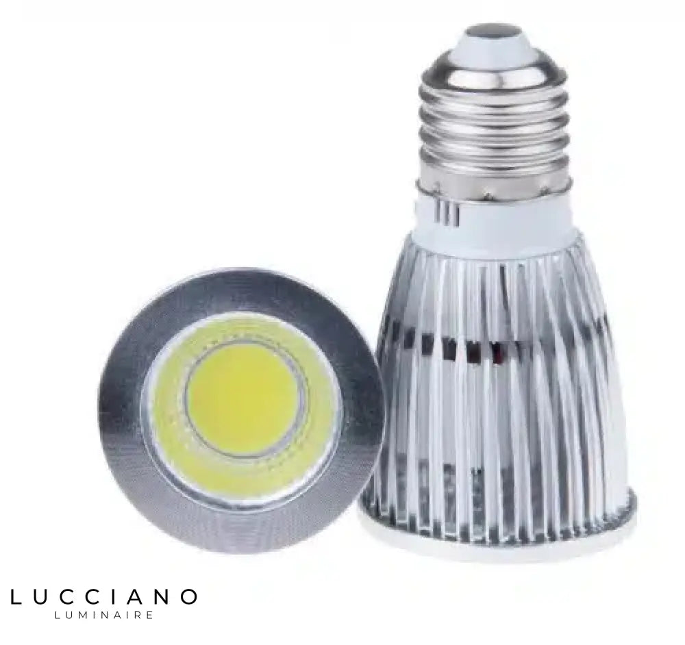 AMPOULE LED E27 12W 220V À INTENSITÉ VARIABLE