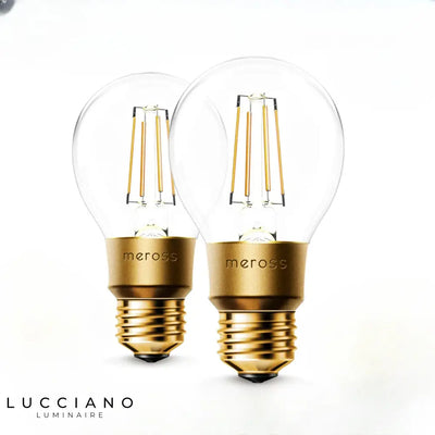 Ampoule LED E27 Wi-Fi à intensité variable