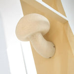 Applique Murale Champignon Scandinave Lumineux Élégant Chambre