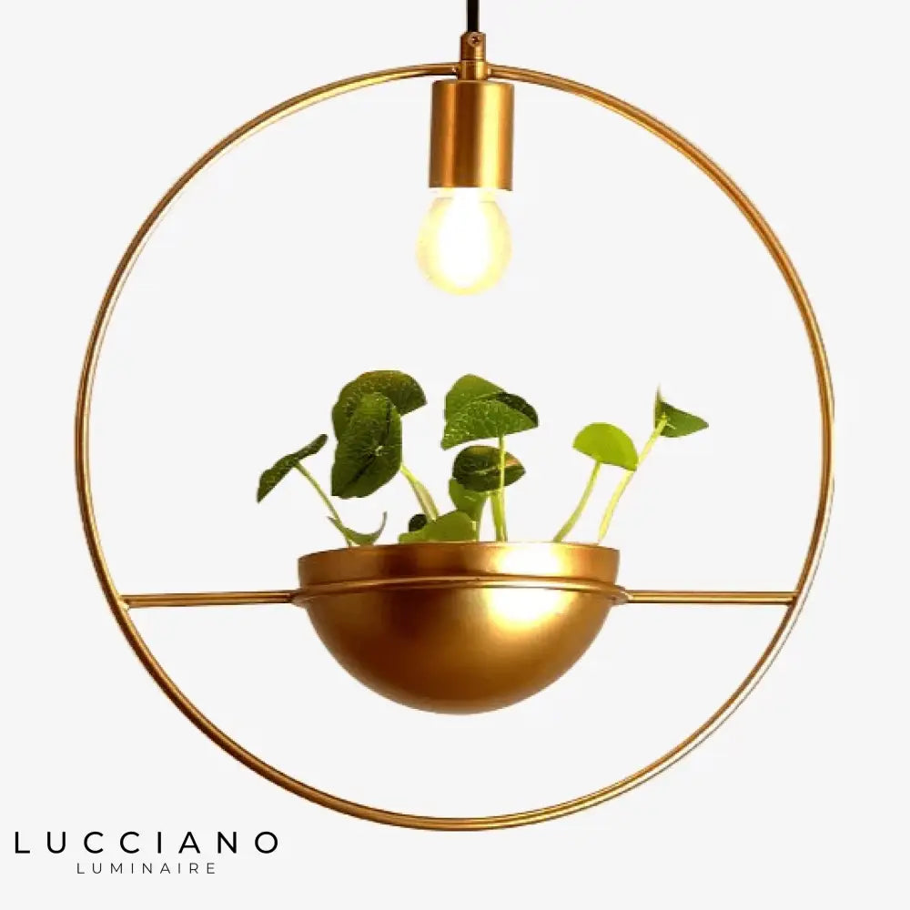 Cercle Led Avec Plante Ring Luminaire Chambre