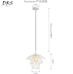 Design De Suspension Cage Colorée Luminaire Chambre