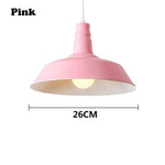 Lampe Led Suspension Abat-Jour Coloré Rose / Froide Luminaire Chambre