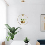 Lustre Led Rond Doré Avec Plante Luminaire Chambre