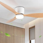 Plafonnier Ventilateur Pour Chambre