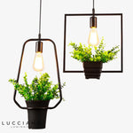 Suspension Plantes Vertes Trazos Luminaire Chambre