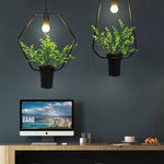 Suspension Plantes Vertes Trazos Luminaire Chambre