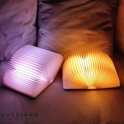 USB Rechargeable Book Shape Night Light